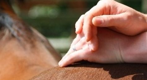 Chiropraktische Behandlung