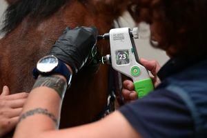 tonometrische Untersuchung eines Auges