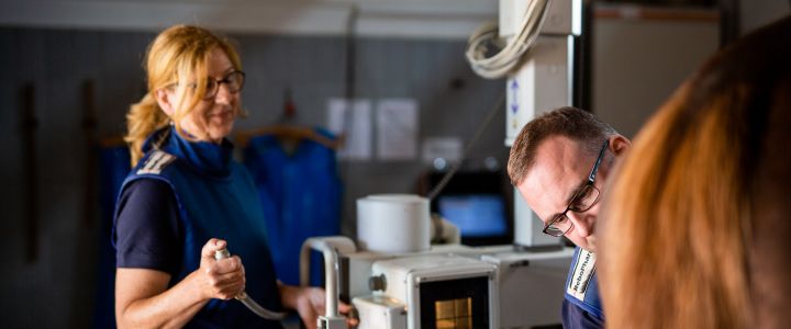 Tierärzte beim Röntgen eines Pferdes