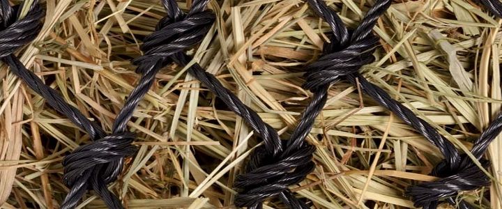 Symbolbild für Netzwerk